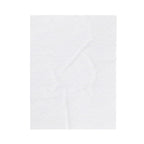 Blessed | Cozy Velveteen Plush Blanket